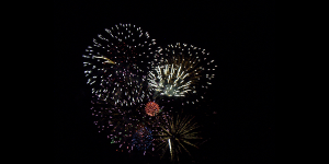 The New Year The New Year